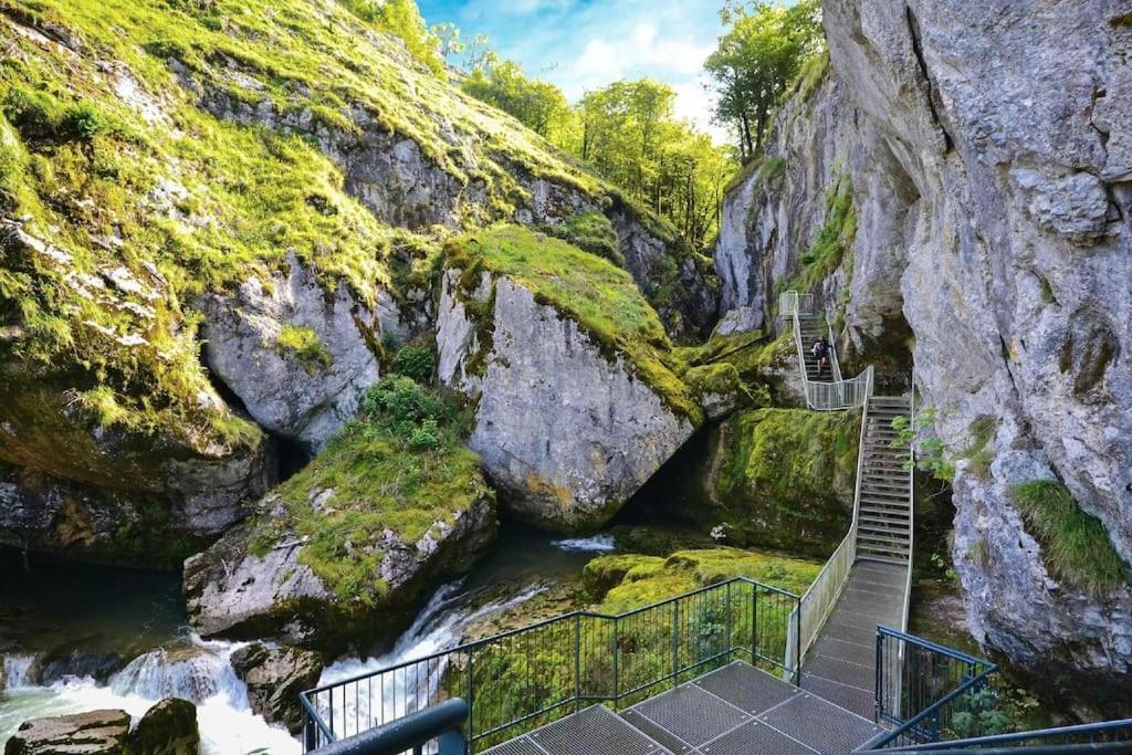 Maison Renovee Au Coeur Du Haut-Jura Entre-Deux-Monts 외부 사진